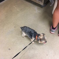 Photo taken at PetSmart by Todd A. on 8/18/2017