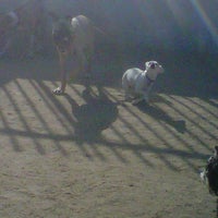 Photo taken at Downtown LA Arts District Dog Park by Shannon O. on 6/14/2012