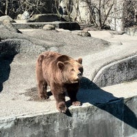 Miejski Ogrod Zoologiczny Nowa Praga Warschau Woiwodschaft