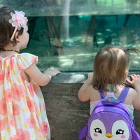 Photo taken at The Florida Aquarium by Beth G. on 5/4/2023