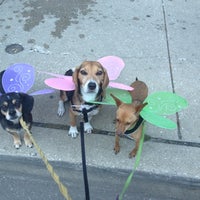 Photo taken at Parker&amp;#39;s Pet Spa &amp;amp; Boutique by Jill T. on 10/26/2013