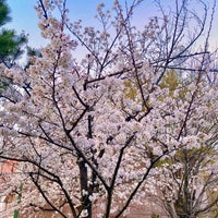 Photo taken at Kakezuka Elementary School by Manami on 3/22/2023