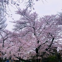 Photo taken at 港区立白金児童遊園（猿町公園） by Manami on 3/28/2020