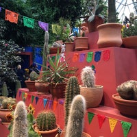 Photo taken at Frida Kahlo Cantina by Ryan Scott T. on 10/24/2015