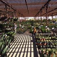 Star Nursery 2600 W Ann Rd Photo Taken At Star Nursery By Liz C On 3 16 2017