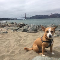 Photo taken at Crissy Field by Ally M. on 8/27/2016