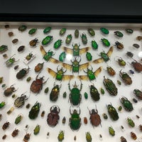 Photo taken at Hungarian Natural History Museum by Maryna on 3/15/2022