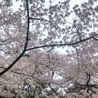 Photo taken at Nogiwa Kōen by chierino on 5/1/2019