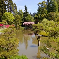 Japanese Gardens - Garden in Capitol Hill