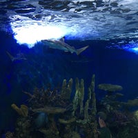 Photo taken at Aquarium of Niagara by Natalia K. on 10/6/2018