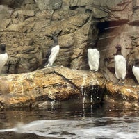 Photo taken at Tokyo Sea Life Park by やふりー が. on 2/26/2024