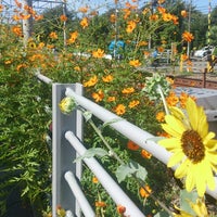 Photo taken at Okusawa Library by Daisuke T. on 9/28/2013