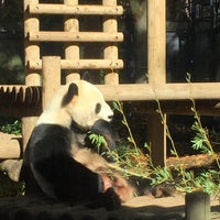 Photo taken at 麻雀ZOO 渋谷文化村通り店 by Mark T. on 11/25/2016