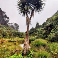 Photo taken at Zealandia Eco-Sanctuary by Stacy on 7/28/2023