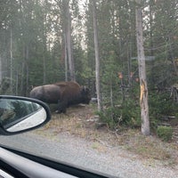 Photo taken at West Gate Of Yellowstone by Stacy on 8/30/2020