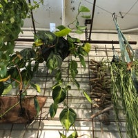 Growing Plants Oslo 福島区 北区大淀南3 2 4