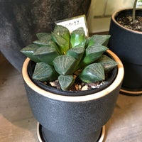 Growing Plants Oslo 福島区 北区大淀南3 2 4