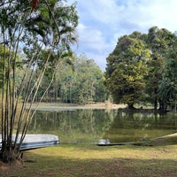 Photo taken at Parque Estadual Alberto Löfgren (Horto Florestal) by Ian G. on 5/8/2022