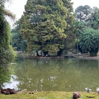 Photo taken at Parque Estadual Alberto Löfgren (Horto Florestal) by Ian G. on 5/8/2022