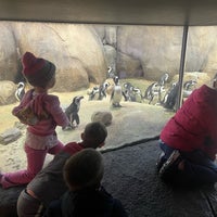 Foto diambil di Minnesota Zoo oleh Cory W. pada 3/16/2024