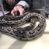 Photo taken at Tokyo Snake Center by りょ on 4/9/2022