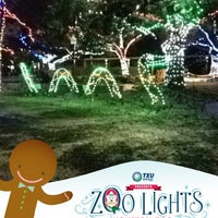 Photo taken at Houston Zoo Lights 2012 by Thuy on 1/2/2013