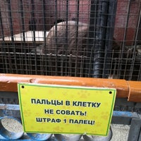 Photo taken at Зоопарк by Dmitry E. on 7/24/2022