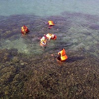 Review Bagian Pemerintahan Pemda Kota Bandar Lampung