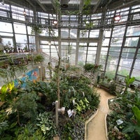 渋谷区 ふれあい植物センター Botanical Garden In 渋谷区