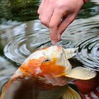 7/25/2013にPersonal Touch Landscaping and GardeningがPersonal Touch Landscaping and Gardeningで撮った写真