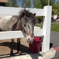 รูปภาพถ่ายที่ Land of Little Horses Farm Park โดย Bob B. เมื่อ 5/5/2013