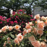 Photo taken at Arakawa Yūenchimae Station by さおりん on 5/4/2021