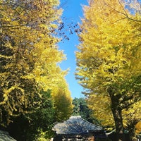 Photo taken at 平塚神社 by さおりん on 12/5/2021