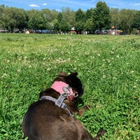 Photo taken at Cooper Dog Park by Philip L. on 6/15/2019