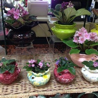 Blue Hills Nursery 6 Tips From 87 Visitors Photo Taken At Blue Hills Nursery By Mindy T On 7 25 2017