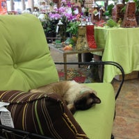 Photo taken at Armstrong Garden Centers by mm m. on 7/6/2013