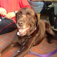 Photo taken at Starbucks by Maureen S. on 5/31/2013