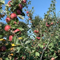 Photo taken at Applebarn at Taves Family Farms by Abdullah A. on 9/28/2019