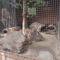 Photo taken at Zoo Malá Chuchle by Petr on 8/24/2019