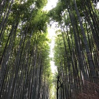 Photo taken at Arashiyama Bamboo Grove by Chui-San W. on 2/18/2019