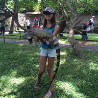Photo taken at Bali Reptile Park by Dovilė B. on 1/9/2016