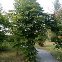 Photo taken at Ботанический сад by Boris g. on 9/9/2018
