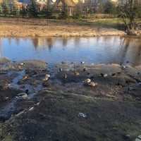 Photo taken at Муринский парк by Владимир Р. on 3/14/2020