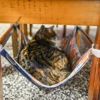 8/1/2018에 Visit 👁️ .님이 Cat Cuddle Cafe에서 찍은 사진