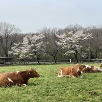 Photo taken at Minamigaoka Dairy by 潮騒 on 4/19/2024