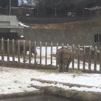 Photo taken at Rhinoceros by Mizuki H. on 1/28/2018