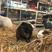 Aveve De Bruycker 3 Tips