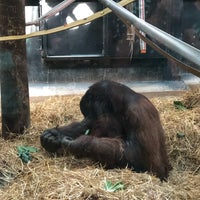 Photo taken at Henry Vilas Zoo by Scott B. on 7/16/2023