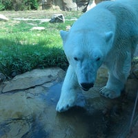 Foto tirada no(a) Henry Vilas Zoo por Scott B. em 7/16/2023