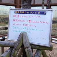 Photo taken at 東山動植物園 ニホンザル by Teddy on 11/25/2012